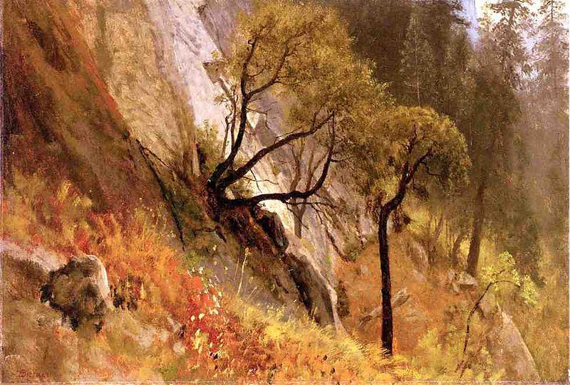 Albert Bierstadt Landscape Study, Yosemite California oil painting image